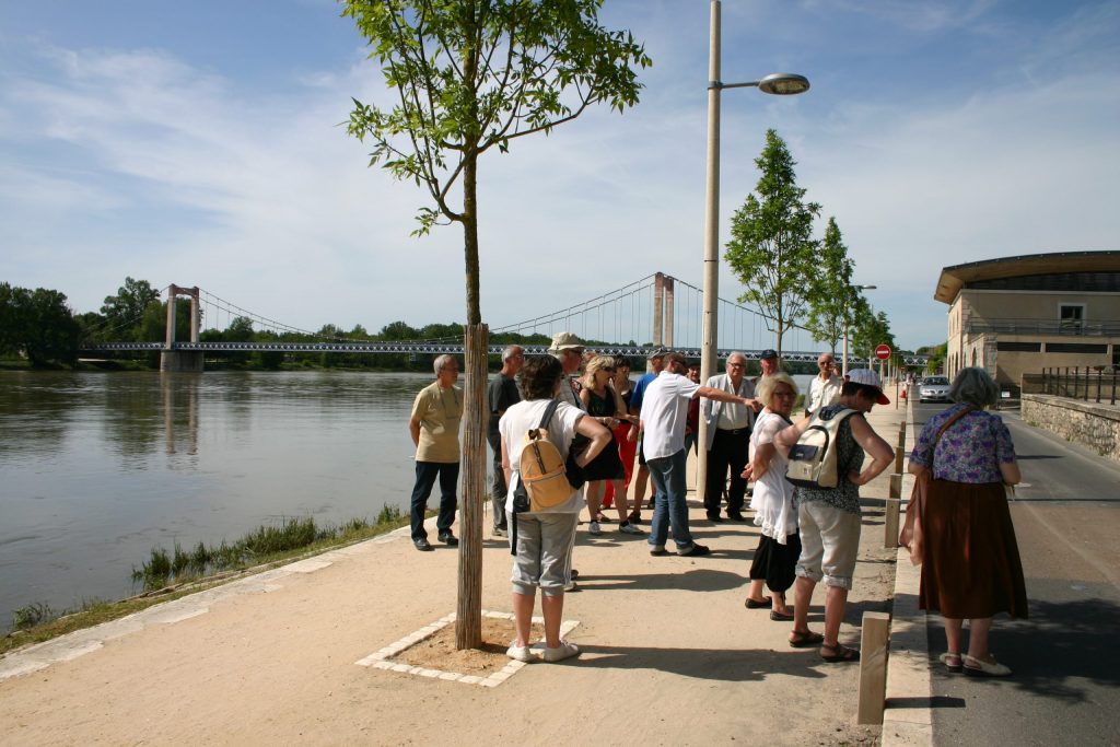 Visite guidée Loire en complément de la visite du musée Musée de la Loire Cosne-Cours-sur-Loire
