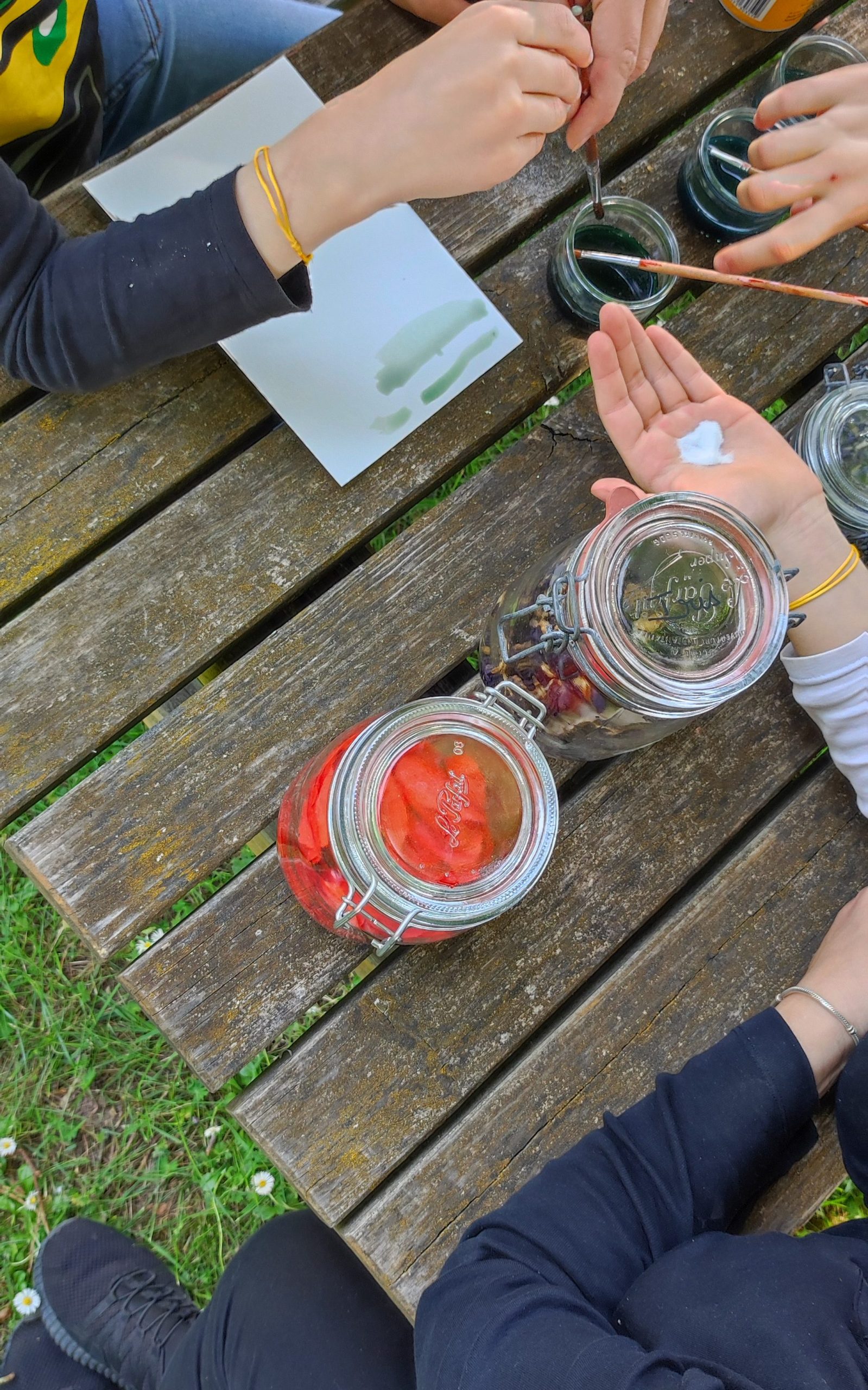 ATELIER : Aquarelle et peinture végétale au Musée de la Loire de Cosne-Cours-sur-Loire le mercredi 29 mai 2024 à 14h